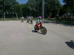 Sporticus