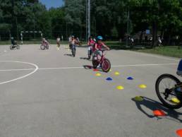 Sporticus