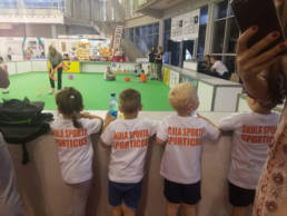 Sporticus