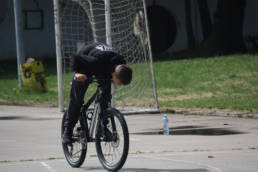 Sporticus