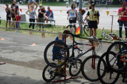 Sporticus