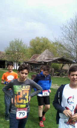 Sporticus