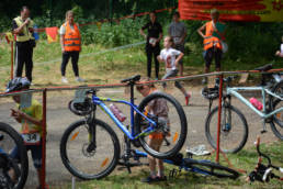 Sporticus