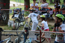 Sporticus