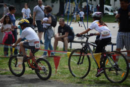 Sporticus