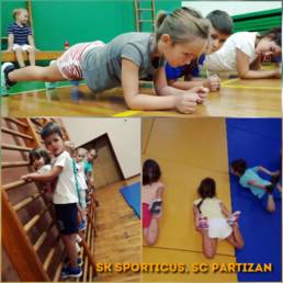Sporticus