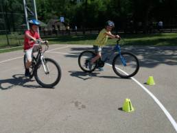 Sporticus