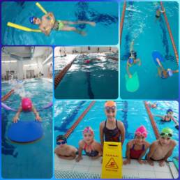 Sporticus