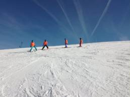 Sporticus