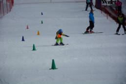Sporticus