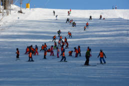 Sporticus