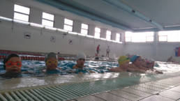 Sporticus