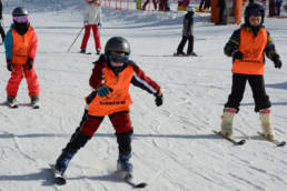 Sporticus