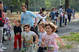 Sporticus
