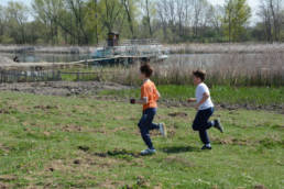 Sporticus