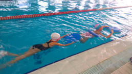 Sporticus