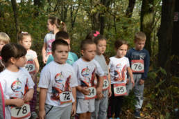 Sporticus