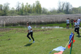 Sporticus