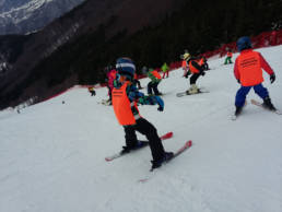 Sporticus