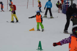 Sporticus