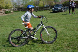 Sporticus