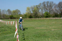 Sporticus