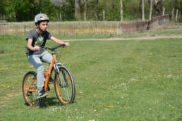 Sporticus