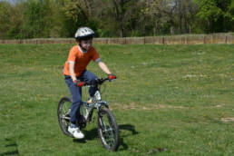 Sporticus