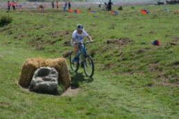 Sporticus