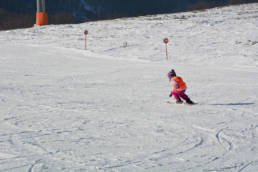 Sporticus