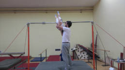 Sporticus