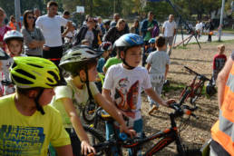 Sporticus
