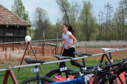 Sporticus
