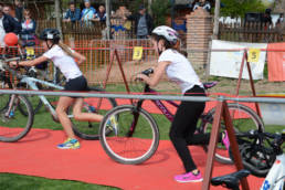 Sporticus