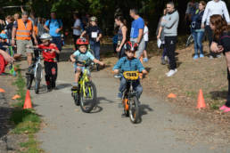 Sporticus
