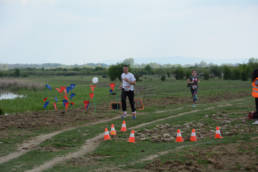 Sporticus