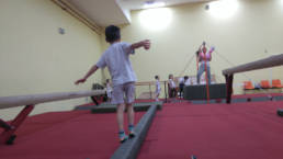 Sporticus