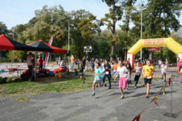 Sporticus