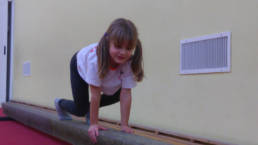 Sporticus