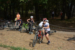 Sporticus