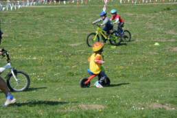 Sporticus