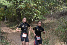 Sporticus