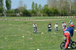 Sporticus