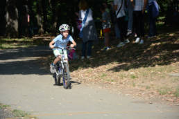 Sporticus